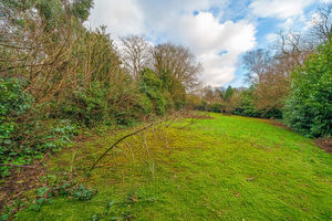 Photo 57- click for photo gallery